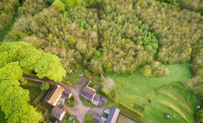 Treberfedd Farm stretches over 80 lush organic acres in west Wales, with meadows, woodland trails, friendly farm animals, and wide valley views. A pea